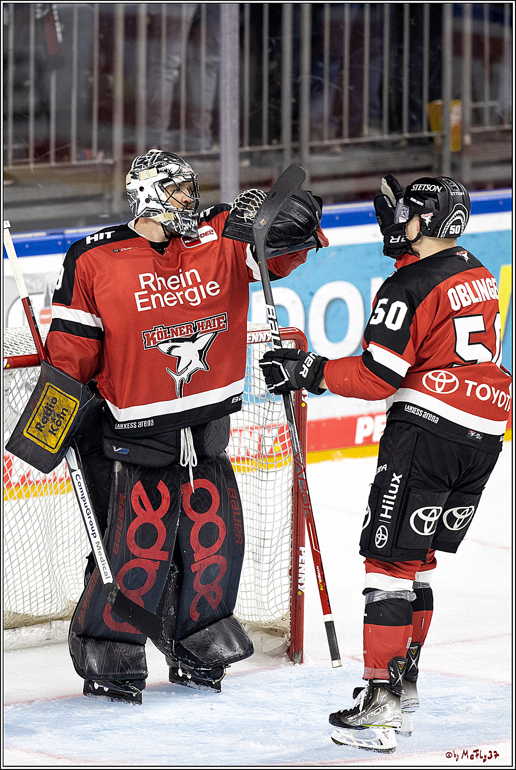 PENNY DEL;  Koelner Haie - Krefeld Pinguine; Koeln, 31.10.2021